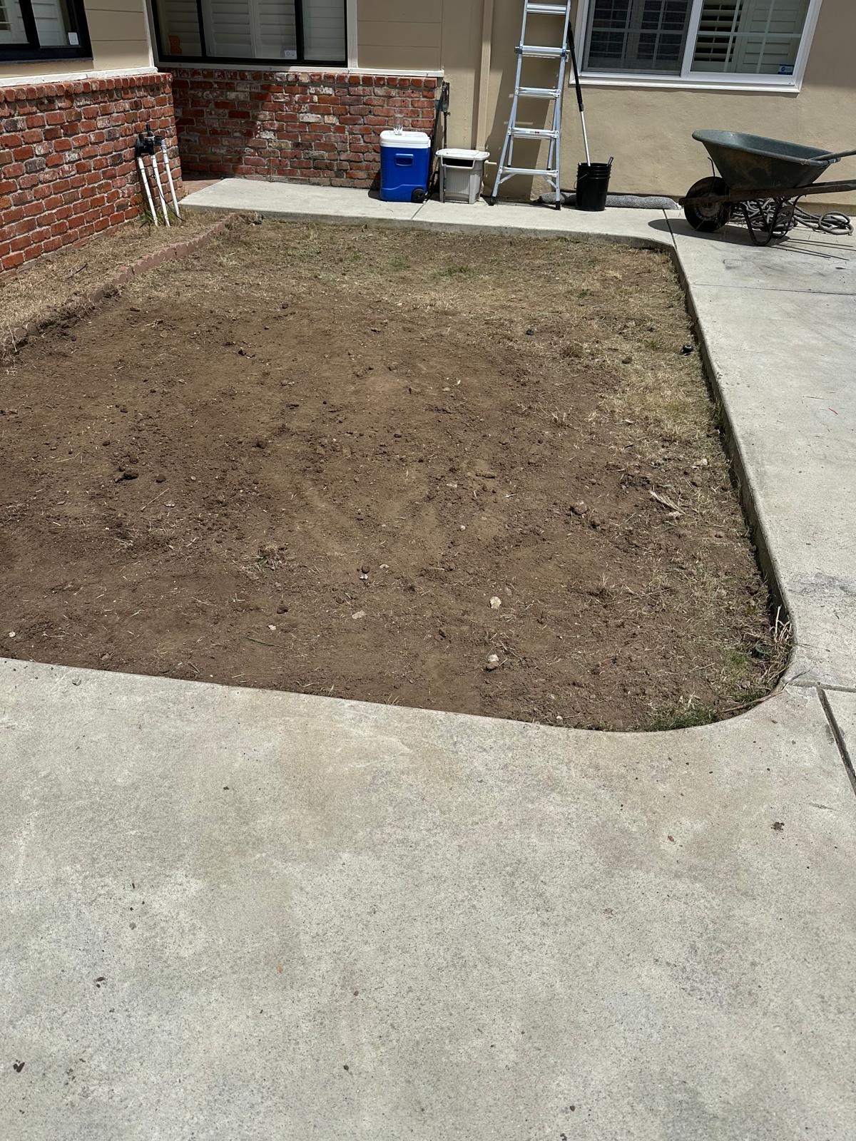 After yard cleanup with the overgrown grass removed and the area cleared